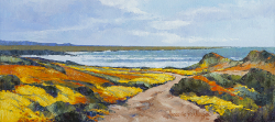 Gansbaai: Springtime | 2017 | Oil on Canvas | 38 x 68 cm